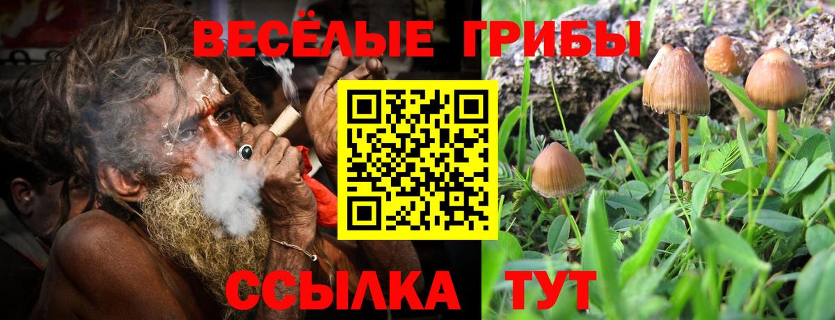 Малгобек  Псилоцибиновые грибы MAGIC MUSHROOMS  Псилоцибиновые грибы Cubensis  Вход с VPN 
